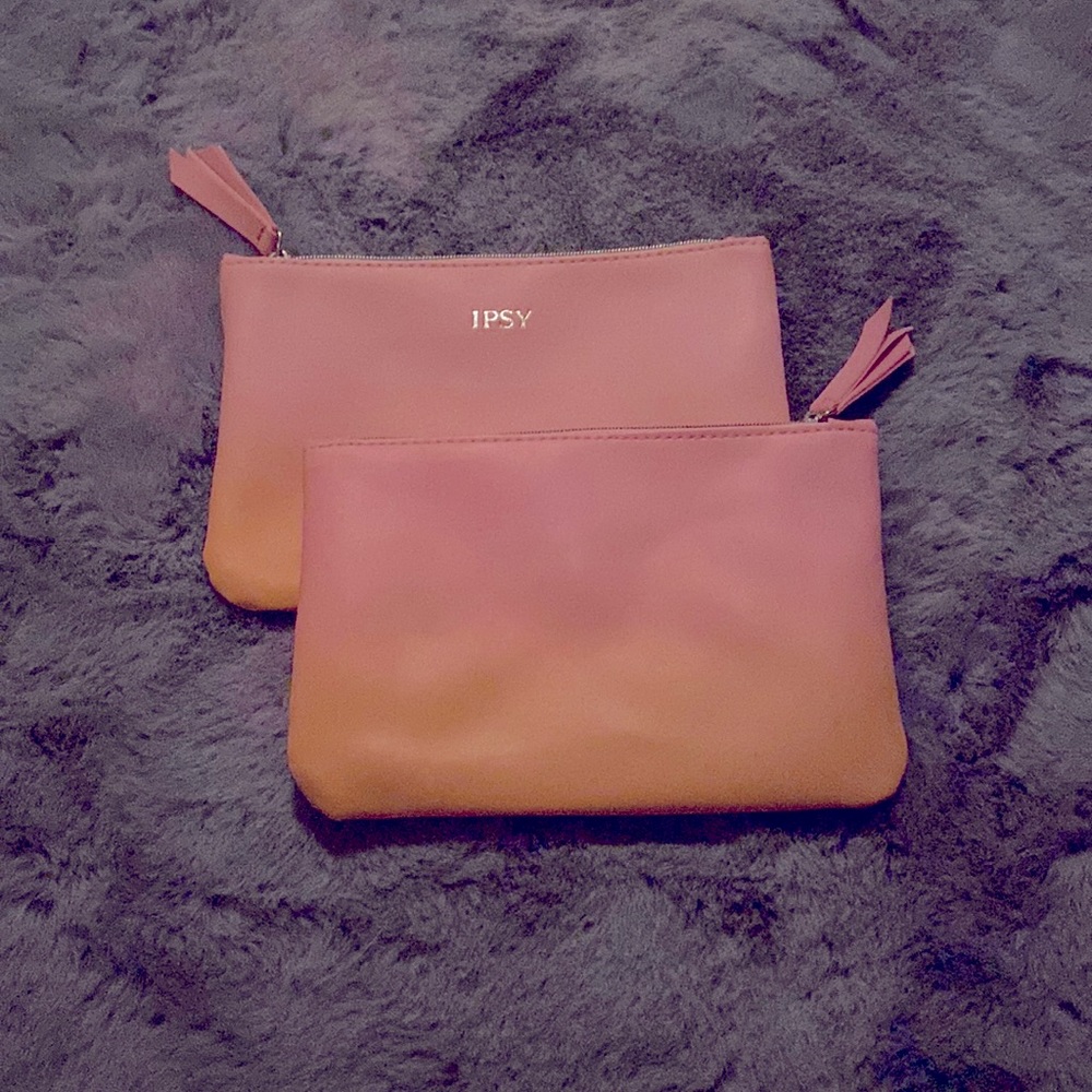 Two small Ipsy travel bags